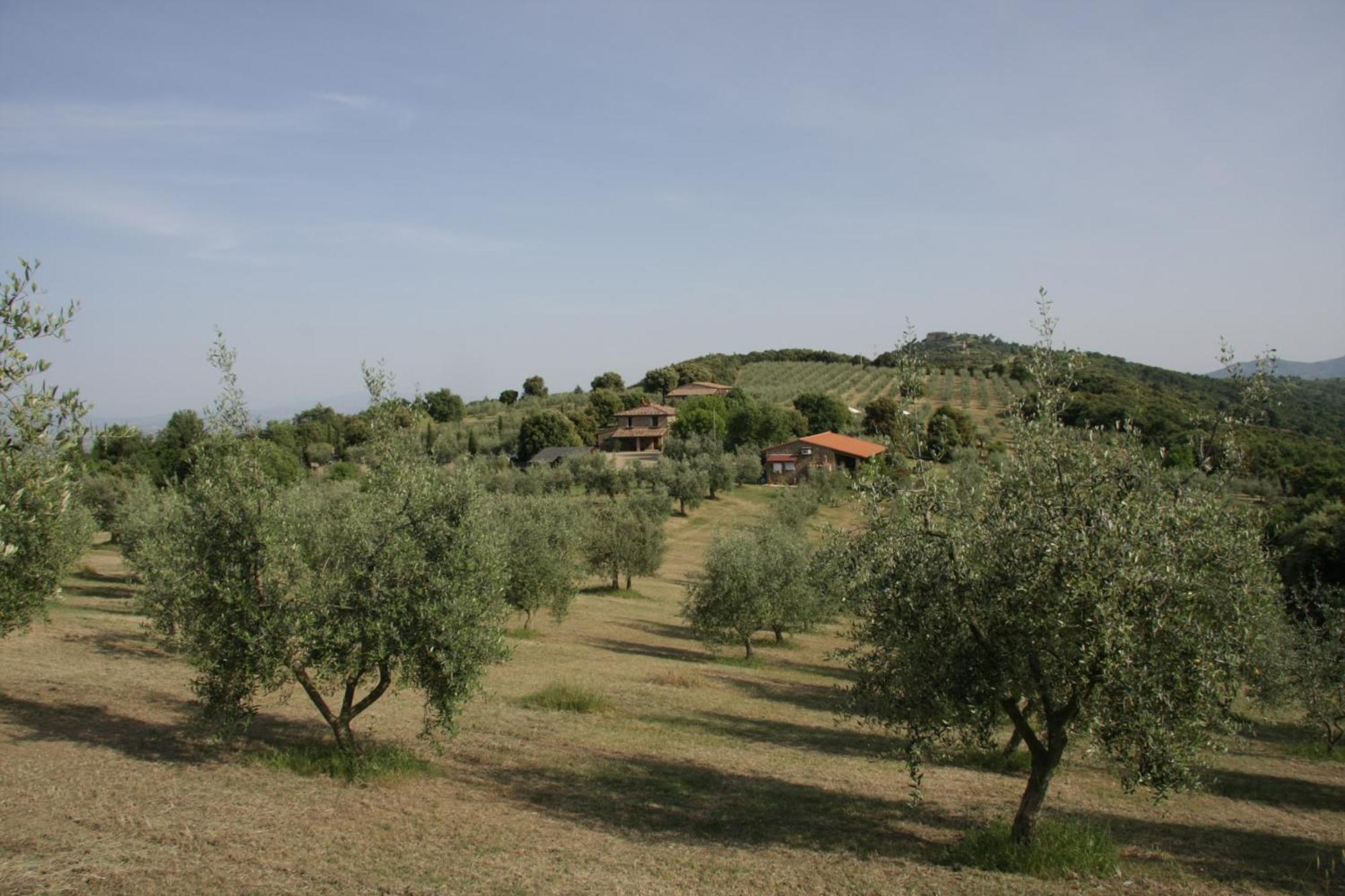 The Country House Montali Tavernelle  Kültér fotó