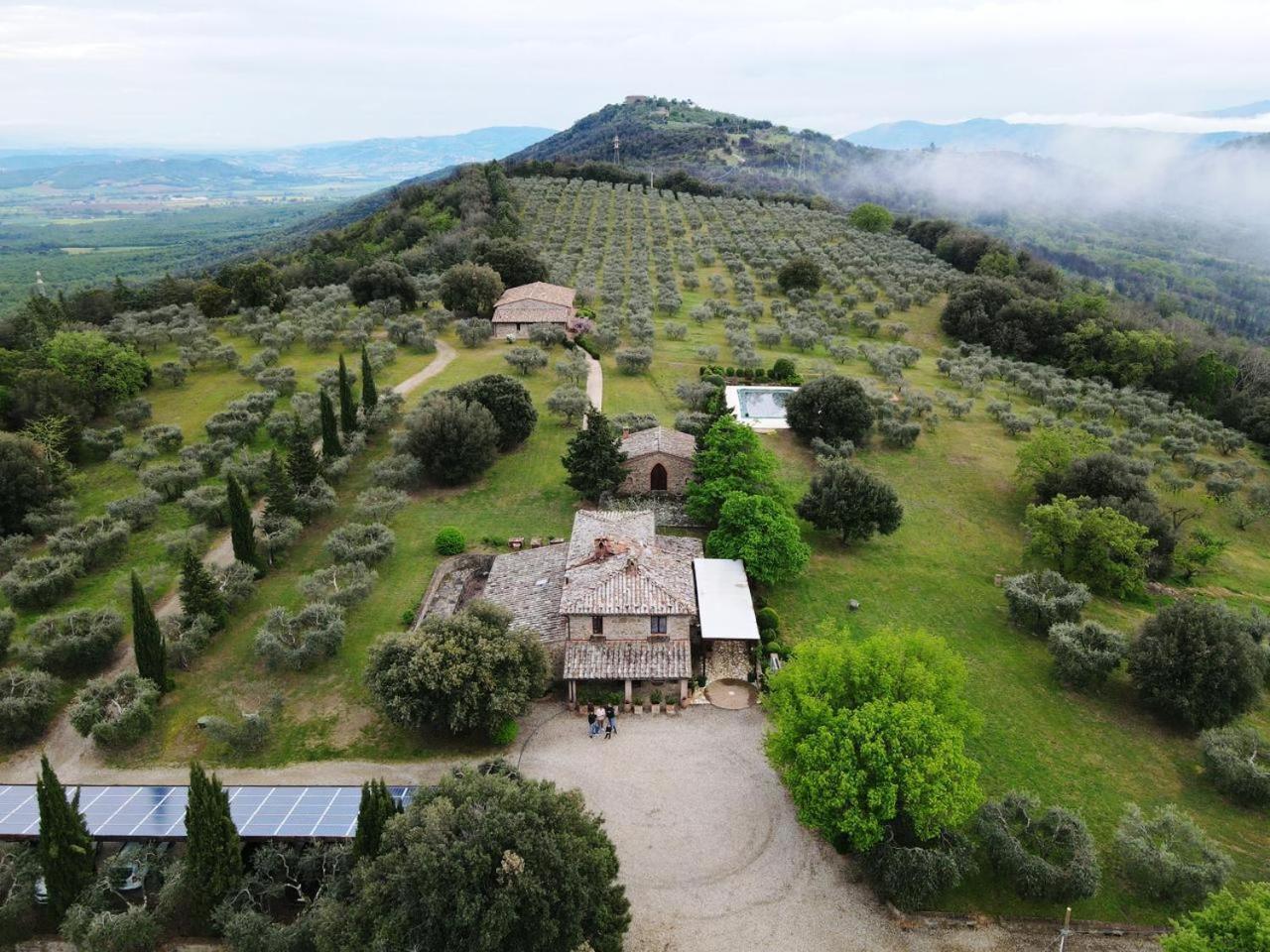 The Country House Montali Tavernelle  Kültér fotó