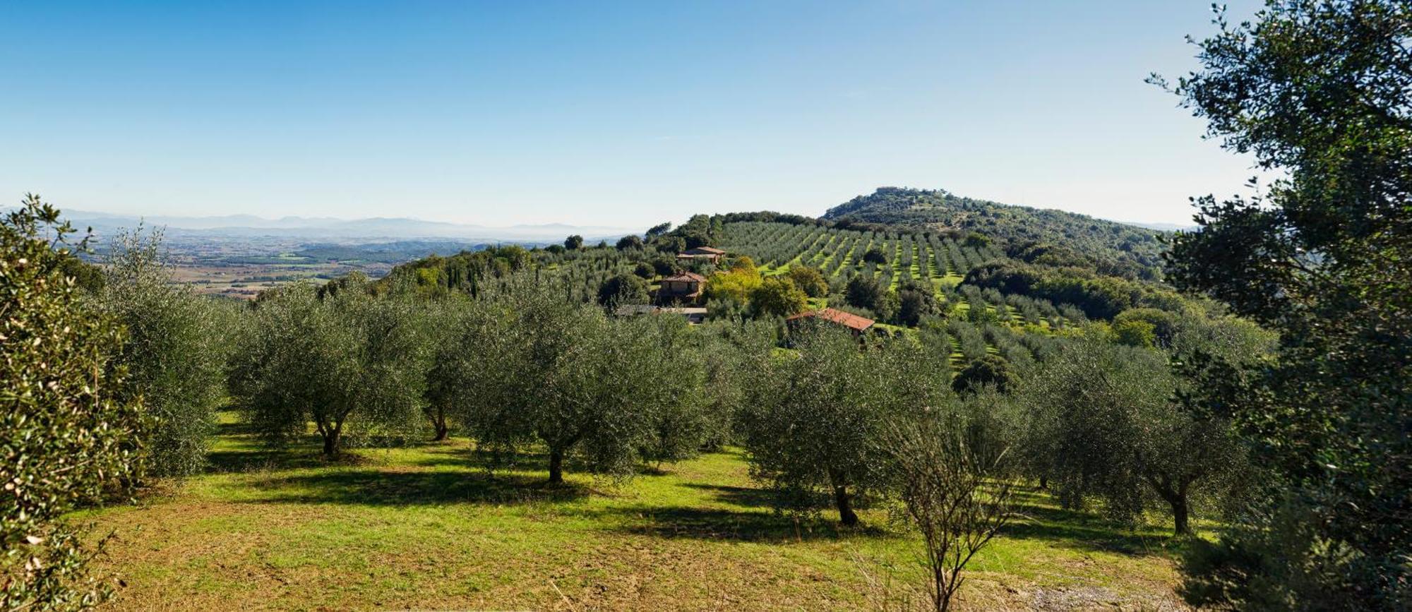 The Country House Montali Tavernelle  Kültér fotó